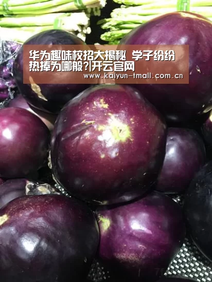 华为趣味校招大揭秘 学子纷纷热捧为哪般?|开云官网(图1) 开云体育