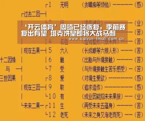 ‘开云体育’周琦已经恢复,季前赛复出有望 塔克饼皇即将大战马刺(图2) 开云官网